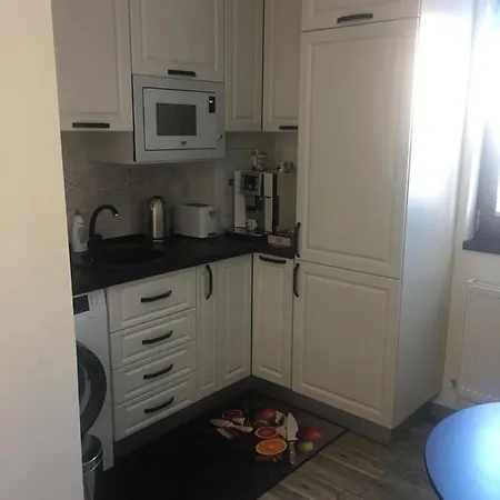 Savas Apartment Brasov